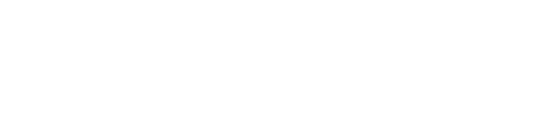 SocialBerry – Social Media Agency and Web Design