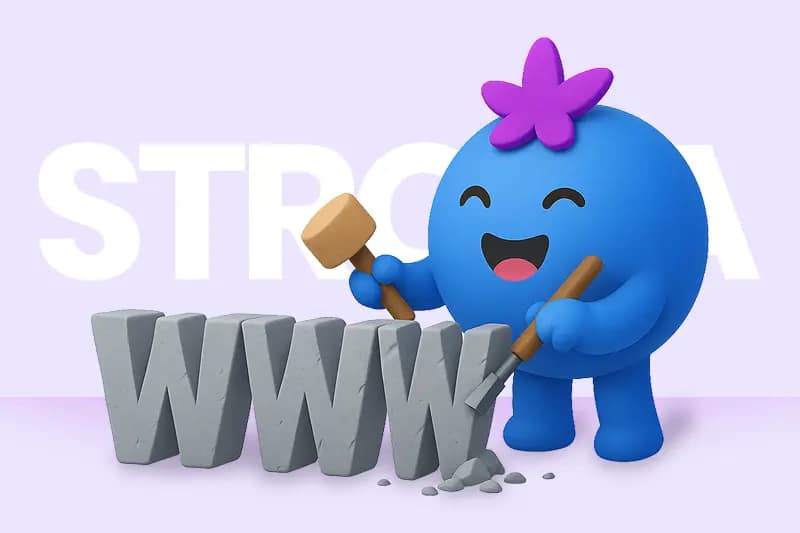 Dlaczego warto zlecić stronę www agencji ?